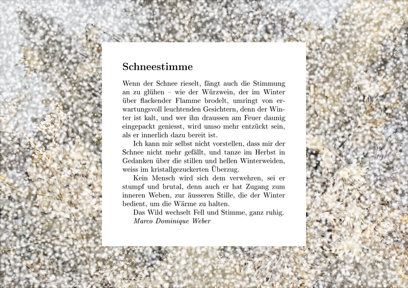 Schneesturm