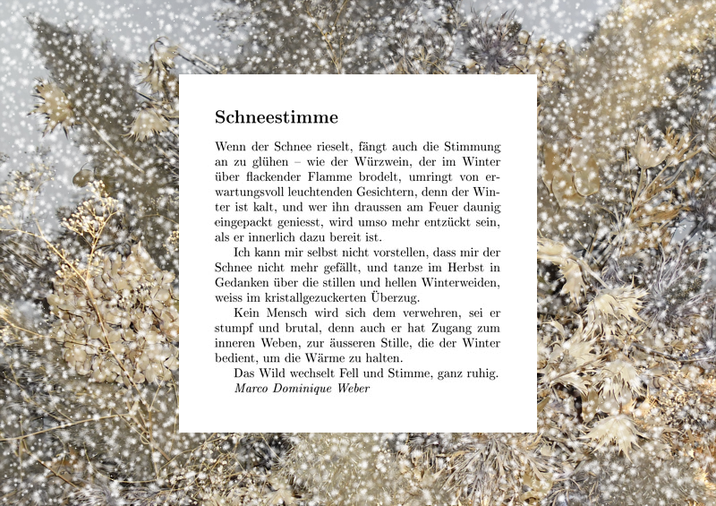 noch mehr Schnee