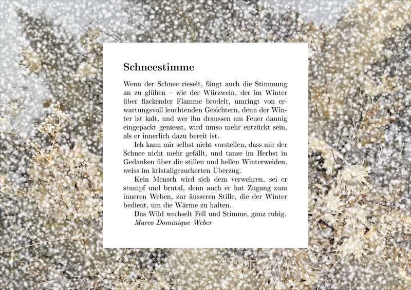noch viel mehr Schnee