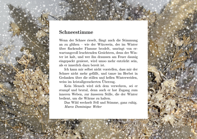 mehr Schnee